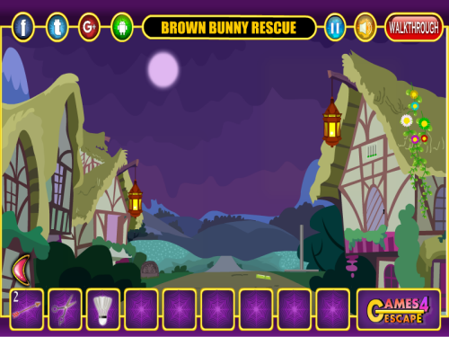 Brown Bunny Rescue